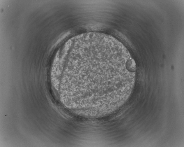 X0000081470738200702092339