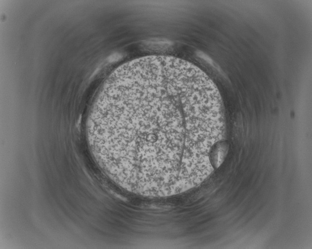 X0000081470739200702092339