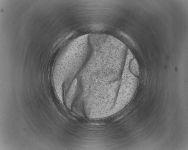 X0000081470740200702092339