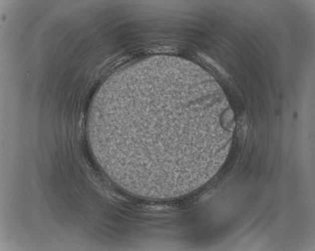 X0000081470741200702092339