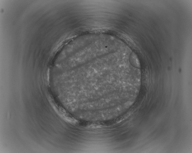 X0000081470742200702092339