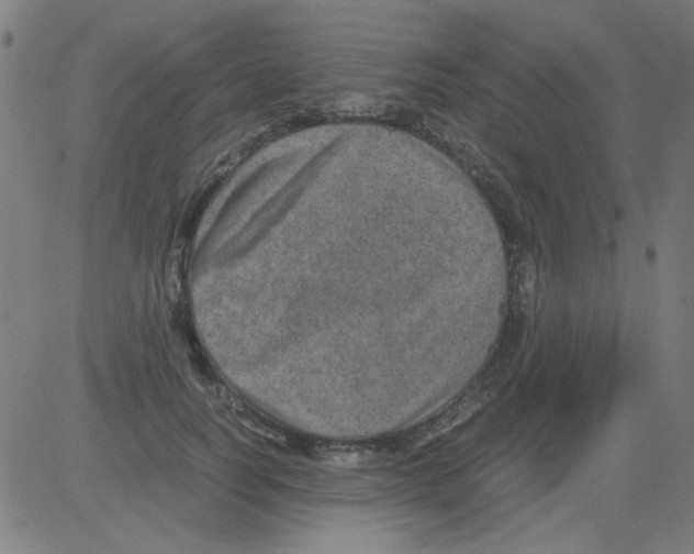 X0000081470746200702092339