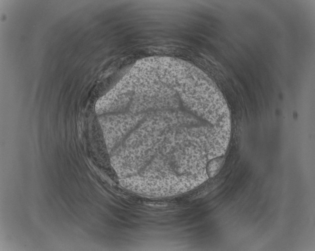 X0000081470749200702092339