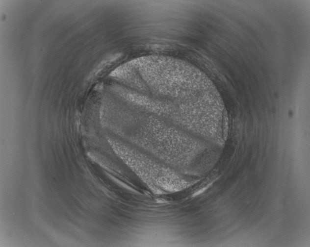 X0000081470750200702092339