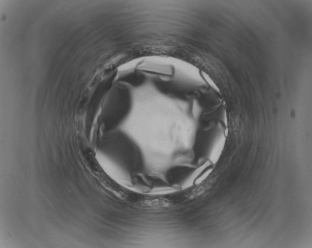 X0000081470752200702092339