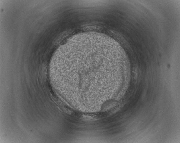 X0000081470753200702092339