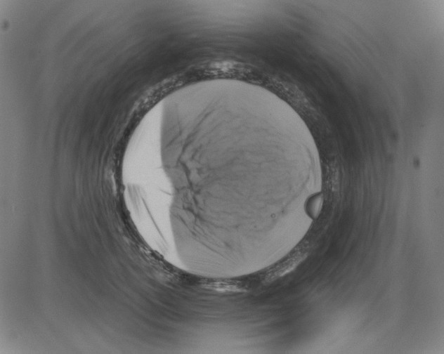 X0000081470754200702092339