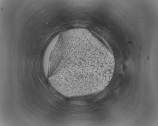 X0000081470755200702092339