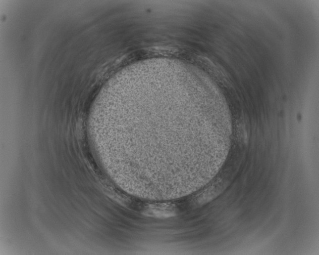 X0000081470757200702092339