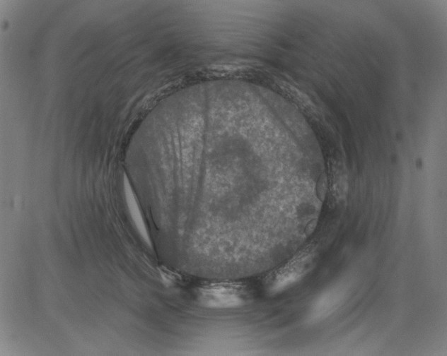 X0000081470758200702092339