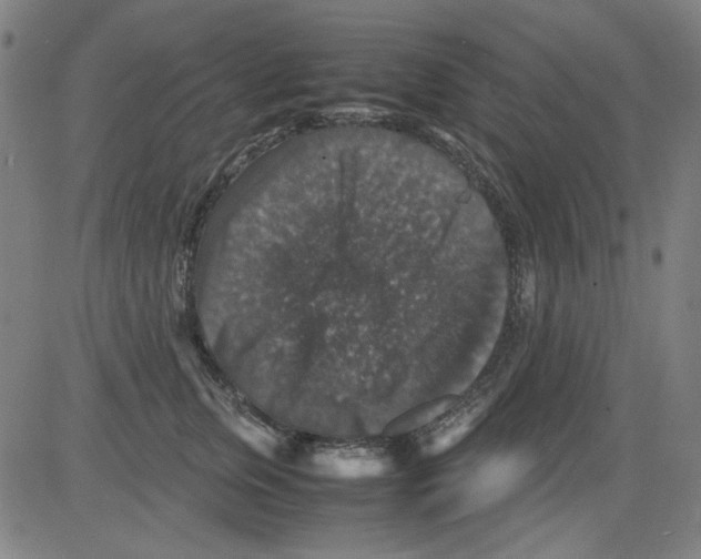 X0000081470759200702092340