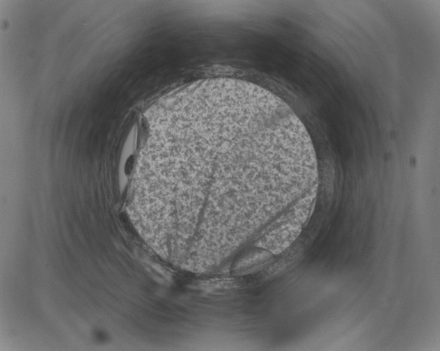 X0000081470761200702092340