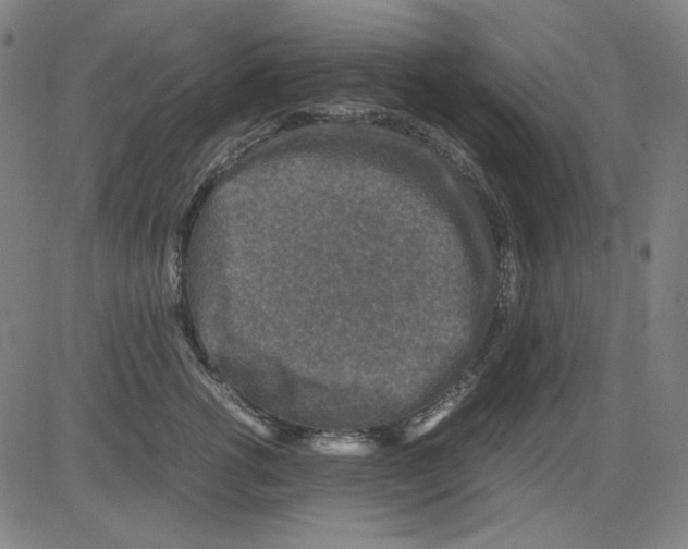 X0000081470762200702092340