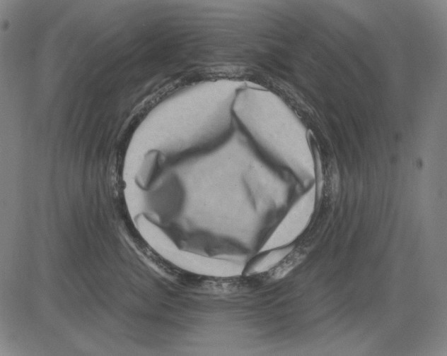 X0000081470764200702092340