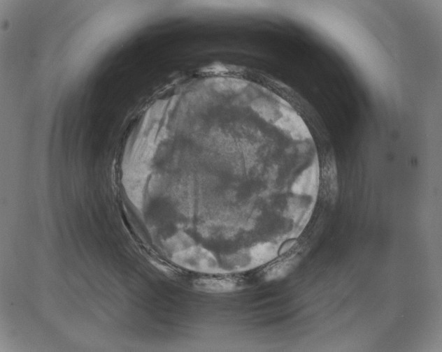 X0000081470765200702092340