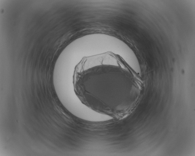 X0000081470766200702092340