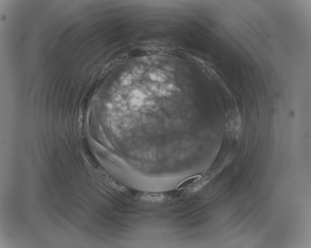 X0000081470767200702092340