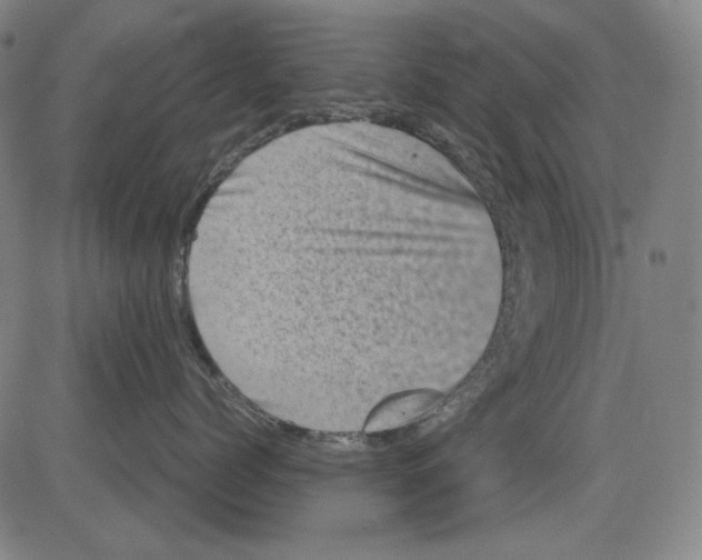 X0000081470768200702092340