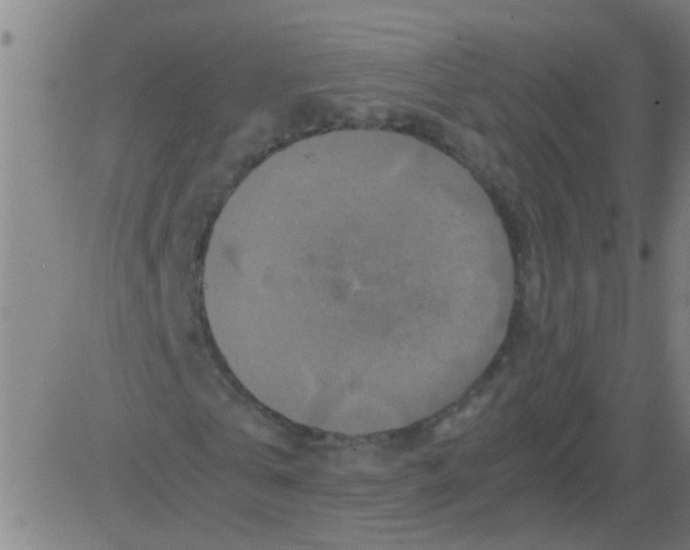 X0000081470769200702092339