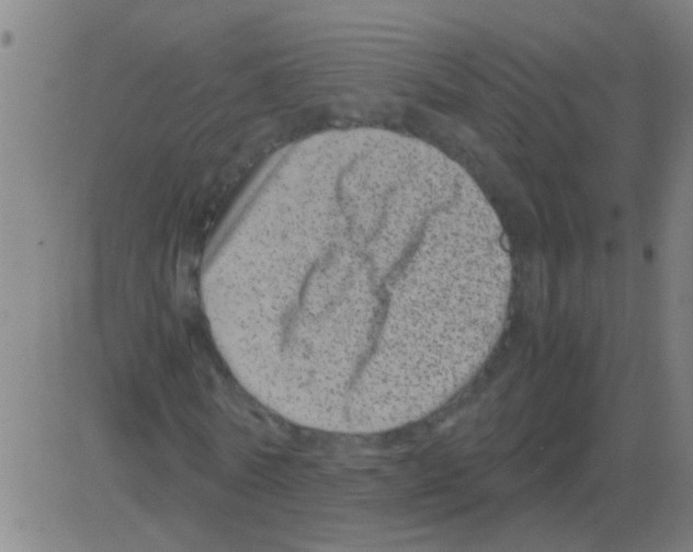 X0000081470770200702092339