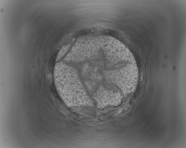 X0000081470771200702092339