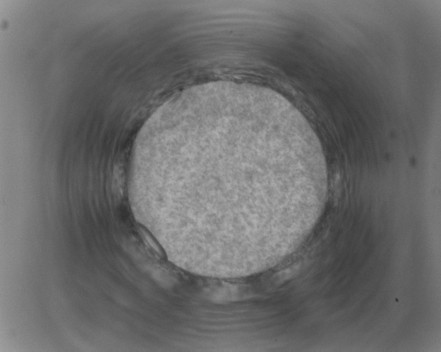 X0000081470772200702092339