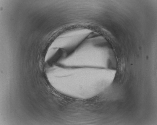 X0000081470773200702092339