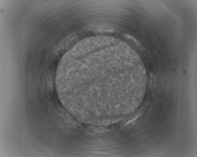 X0000081470774200702092339