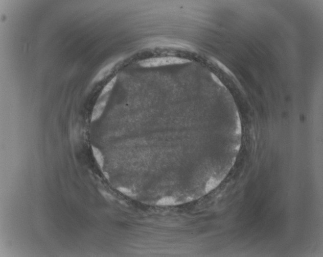 X0000081470775200702092339