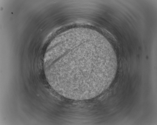 X0000081470776200702092339