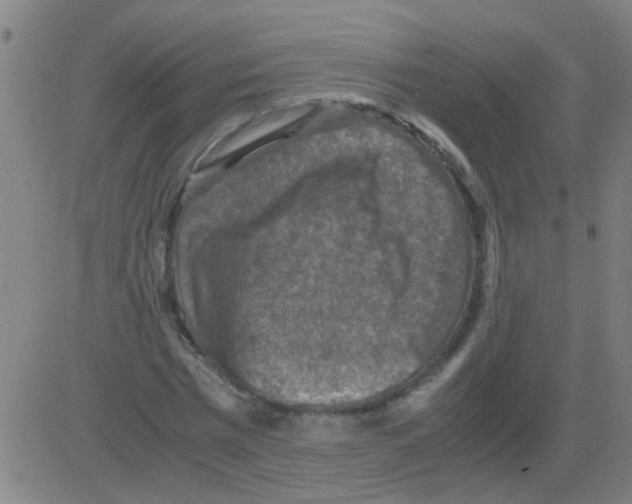 X0000081470777200702092339