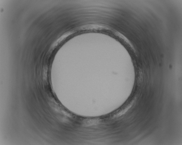 X0000081470778200702092339