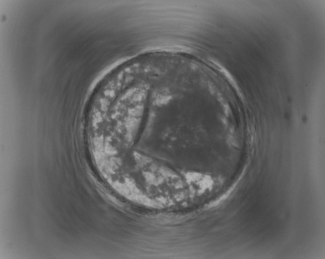 X0000081470779200702092339