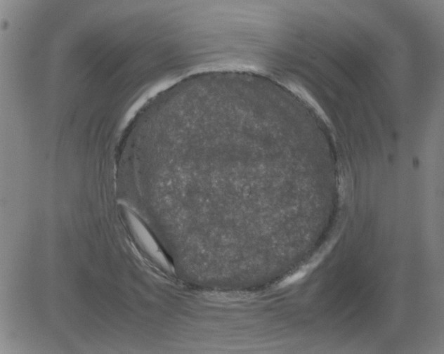 X0000081470781200702092339