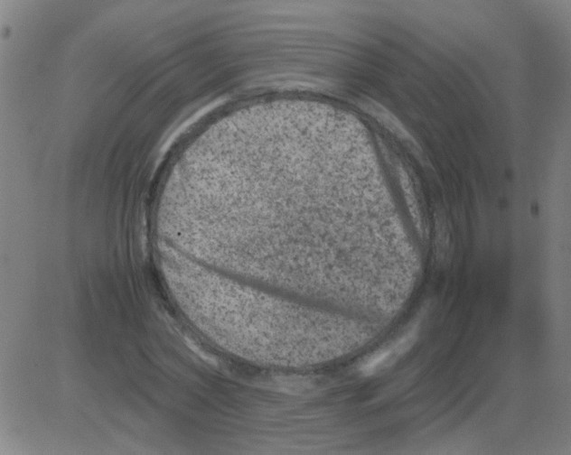 X0000081470782200702092339