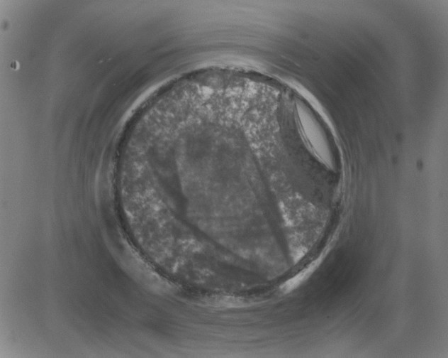 X0000081470783200702092339