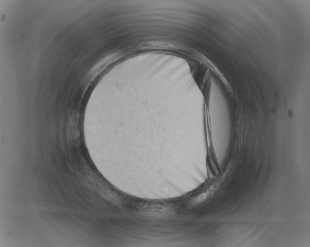 X0000081470786200702092339