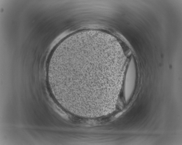 X0000081470787200702092339