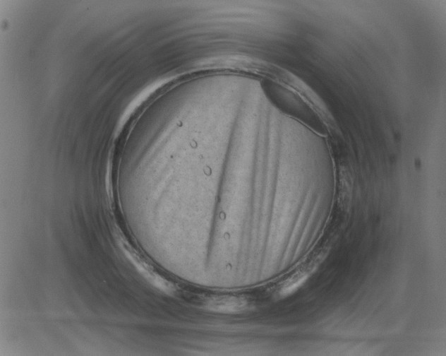 X0000081470788200702092339