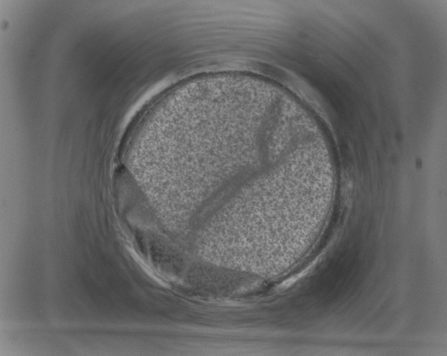 X0000081470789200702092339