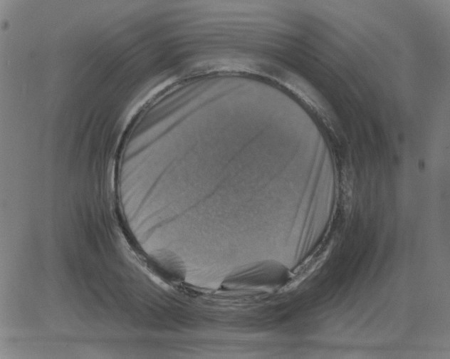 X0000081470790200702092339