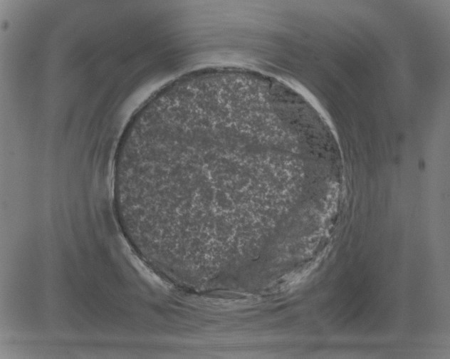 X0000081470791200702092339