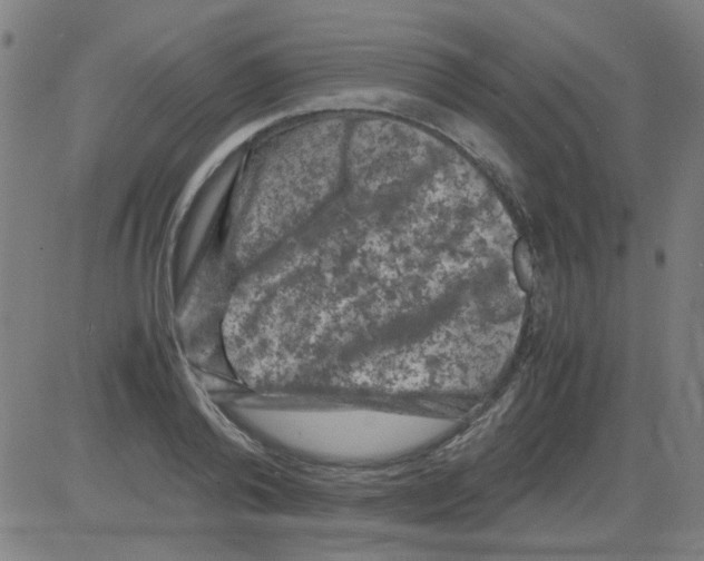 X0000081470792200702092339