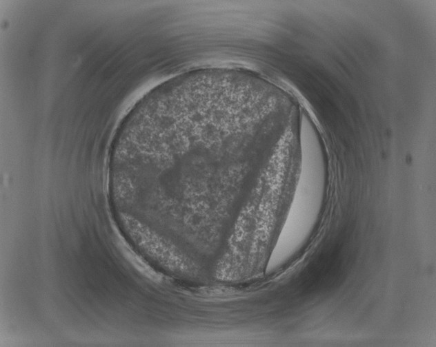 X0000081470795200702092338