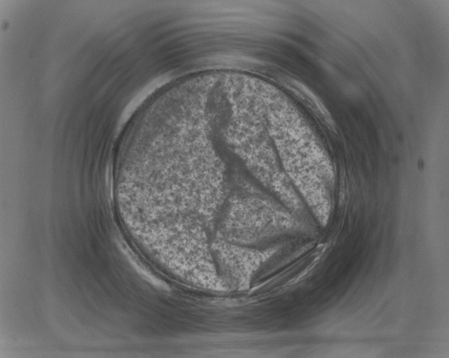 X0000081470796200702092338