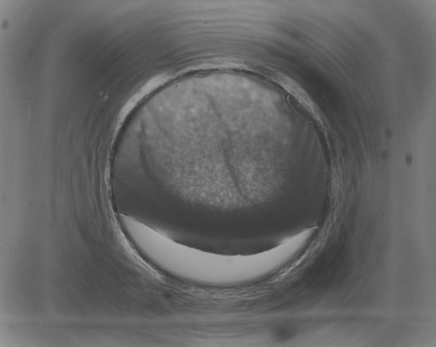 X0000081470797200702092338