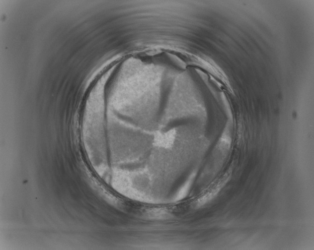 X0000081470798200702092338