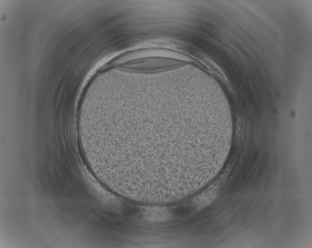 X0000081470800200702092338