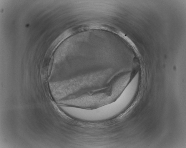 X0000081470801200702092338