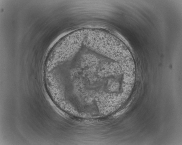 X0000081470803200702092338